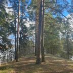 Трехместный (Деревянный коттедж (половина 3Л) 2 этажа), Гостевой дом Лукино-Парк