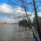 Трехместный (Деревянный коттедж (половина 3Л) 2 этажа), Гостевой дом Лукино-Парк