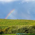 Трехместный (Деревянный коттедж (половина 4П) 2 этажа), Гостевой дом Лукино-Парк