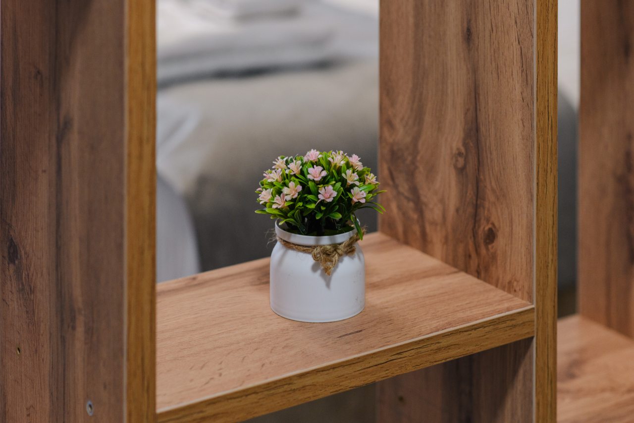 Люкс, Отель Континент