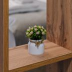 Люкс, Отель Континент