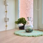 Квартира (Сан Марино), Апартаменты Your Place на Восточно-Кругликовской 22