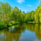 Пруд возле коттеджа