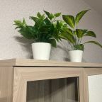 Апартаменты (На Маршала Одинцова 25Б/9 - 252), Апартаменты Серебряный век