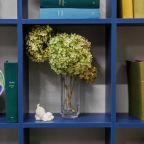 Двухместный (Моне), Апарт-отель 5 Гениев