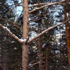 Студио (Эллада 12), Апартаменты Эллада