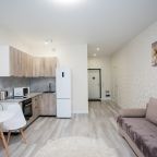 Квартира (Однокомнатная квартира-студия с современным ремонтом), Апартаменты Уютная студия с современным ремонтом