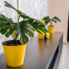 Апартаменты (Радищева 41 трехкомнатная), Апартаменты Радищева 41 трехкомнатная