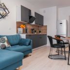 Апартаменты (Викулова 78 трехкомнатная), Апартаменты Викулова 78 трехкомнатная