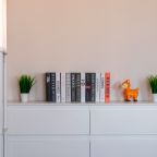 Апартаменты (Ботаническая 22 трехкомнатная), Апартаменты Ботаническая 22 трехкомнатная
