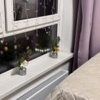 Апартаменты (Квартира на Каштановой 9), Апартаменты Студия у метро Внуково