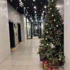 Апартаменты (Квартира на Каштановой 9), Апартаменты Студия у метро Внуково