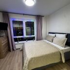 Апартаменты (Квартира на Каштановой 9), Апартаменты Студия у метро Внуково