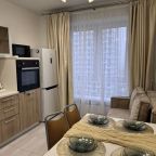 Квартира (На Каштановой 14к1), Апартаменты У метро Внуково