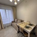 Квартира (На Каштановой 14к1), Апартаменты У метро Внуково