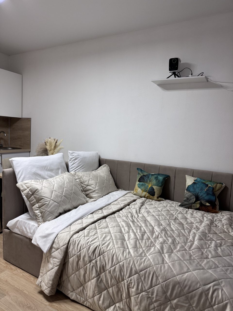 Апартаменты (Студия на Ракетчиков 6), Апартаменты Уютная студия с проектором