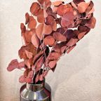 Пятиместный (Синий Кармин), Мини-отель Сибирь Хаус