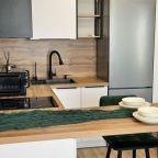 Квартира (На Каштановой 11), Апартаменты Двухкомнатные для семьи у метро Внуково