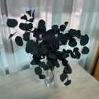 Двухместный, Гостиница Гостевой дворик