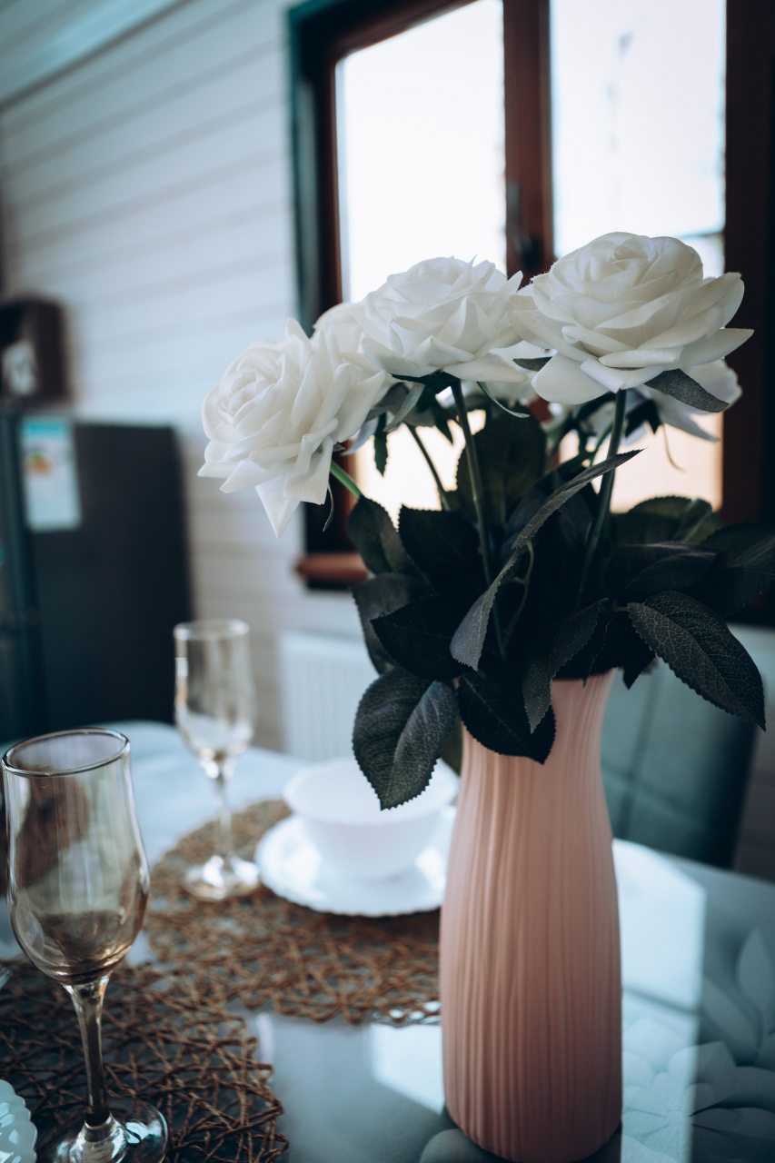 Дом (Гостевой VIP дом (с джакузи)), База отдыха Мечта