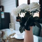 Дом (Гостевой VIP дом (с джакузи)), База отдыха Мечта