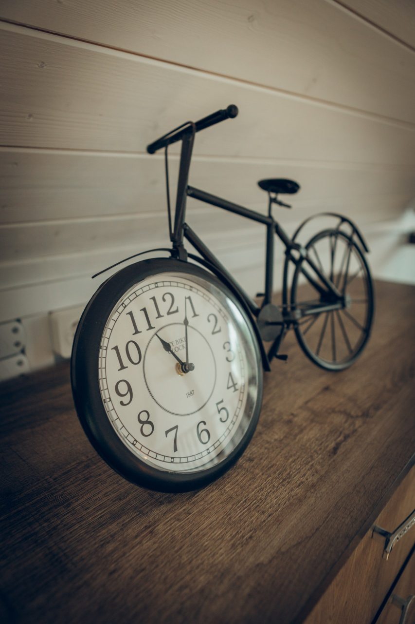 Дом (Гостевой VIP дом), База отдыха Мечта