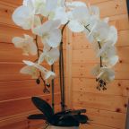 Трёхместный и более (Семейный номер 3), База отдыха Мечта