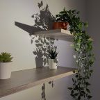 Апартаменты (За Московскими вратами), Апартаменты Триумф на Московском