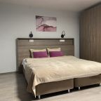 Апартаменты (За Московскими вратами), Апартаменты Триумф на Московском