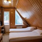 Двухместный (Мансардный с видовым балконом), Гостиница Шато Леопард