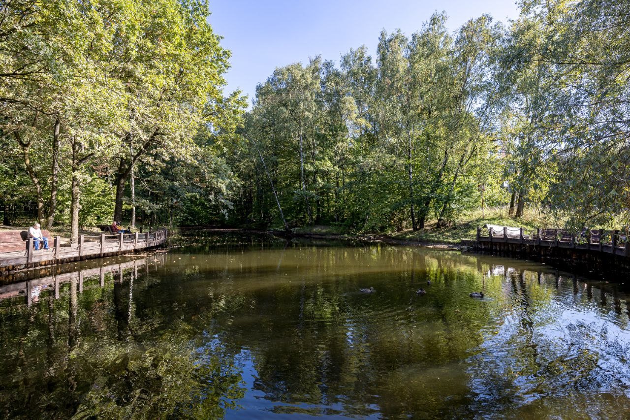 Квартира (В новом Русском стиле), Апартаменты в Новом Русском Стиле