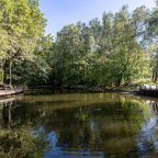 Квартира (В новом Русском стиле), Апартаменты в Новом Русском Стиле