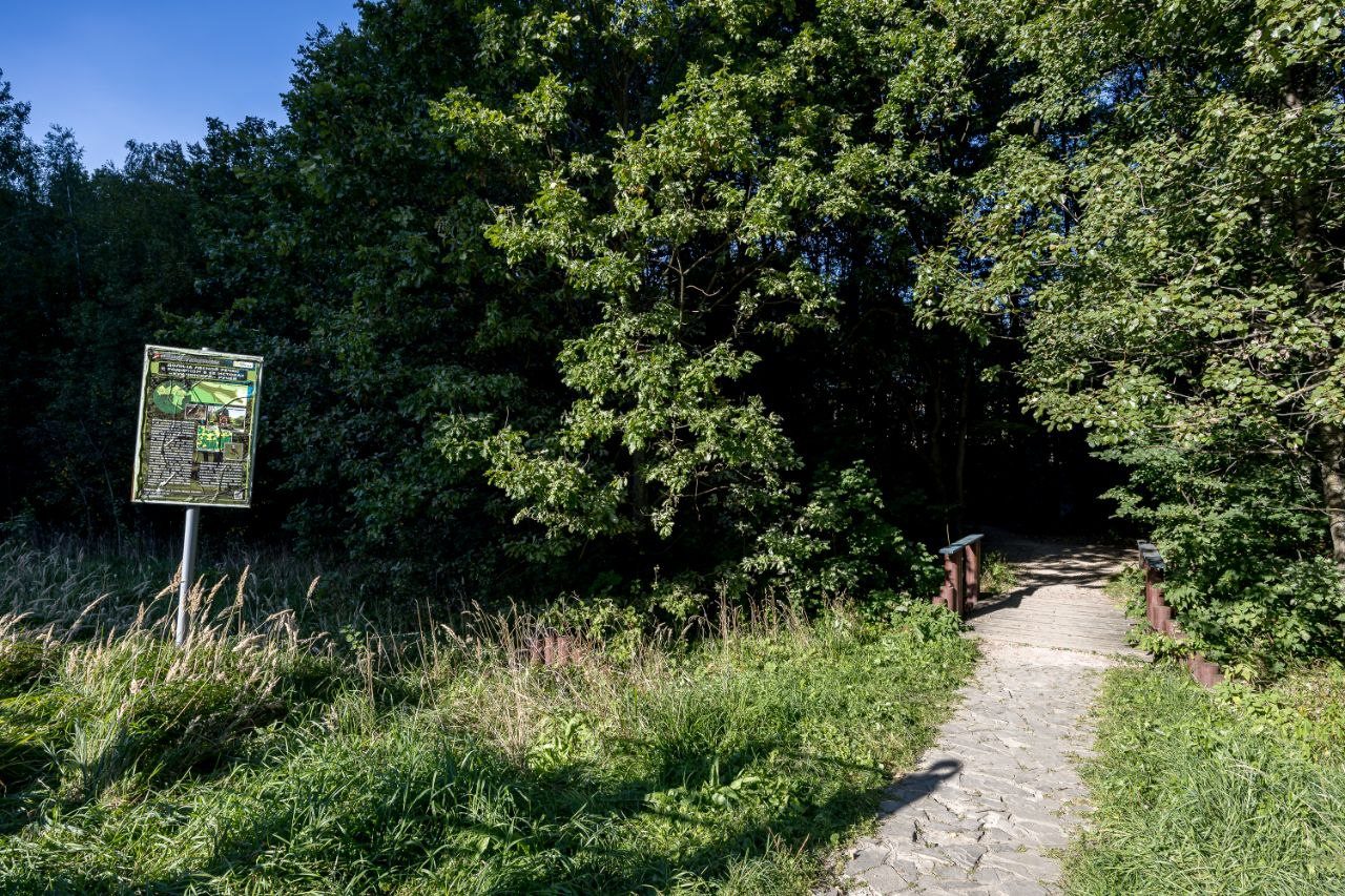 Квартира (В новом Русском стиле), Апартаменты в Новом Русском Стиле