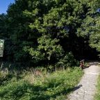 Квартира (В новом Русском стиле), Апартаменты в Новом Русском Стиле