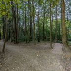 Квартира (В новом Русском стиле), Апартаменты в Новом Русском Стиле