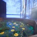 Дом (Дом №2 с сауной и видом на воду (dog friendly)), База отдыха Важная Шишка
