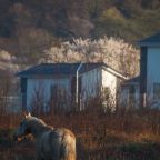 Вид на горы, Парк-Отель 4 СЕЗОНА