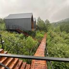 Глэмпинг в Белокурихе «11 Гор Алтая»