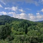 Глэмпинг в Белокурихе «11 Гор Алтая»