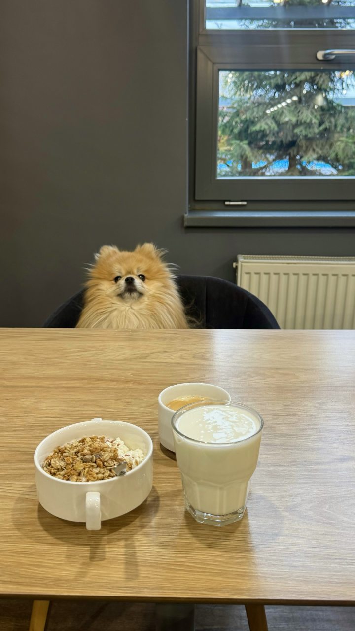 Размещение с животными