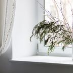Апартаменты (Советский экспресс), Апартаменты Веста на Советской