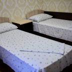 Двухместный (Двухместный Номер стандарт с раздельными кроватями), Гостевой дом Дарья+