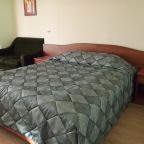Номер (Стандарт с большой кроватью), Гостиница Паллада РАН