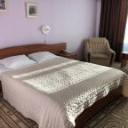 Номер (Улучшенный с большой кроватью), Гостиница Паллада РАН