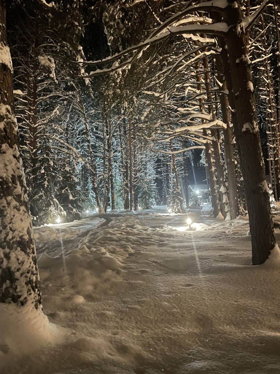 Бунгало (Тихий барн в лесу), Барнхаус в лесу