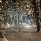 Бунгало (Тихий барн в лесу), Барнхаус в лесу