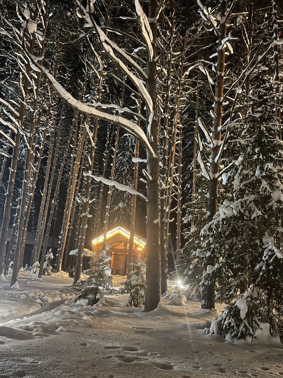 Бунгало (Тихий барн в лесу), Барнхаус в лесу