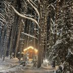 Бунгало (Тихий барн в лесу), Барнхаус в лесу
