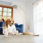 Допускается размещение домашних животных, Гостевой дом Sorelli