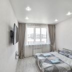 Двухместный (Номер по ул.Ленина 563 к 5), Апартаменты Евродвушка в южной части города